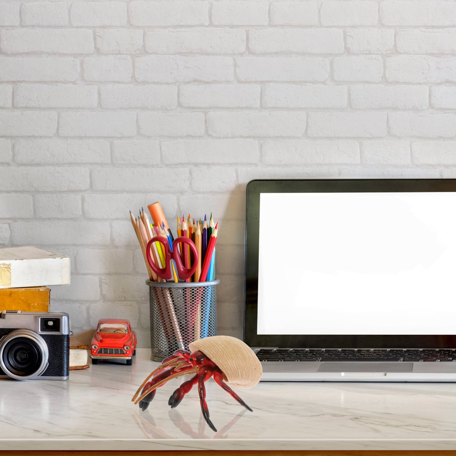 Crabe hermitier réaliste en pl - Science Toy avis et prix