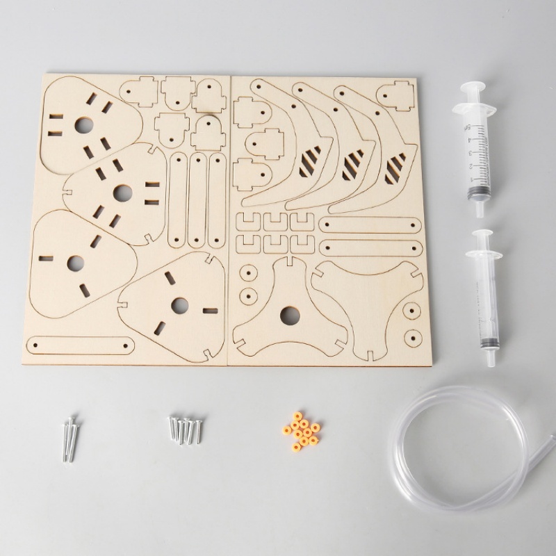 Kit de jouets de modélisme de  - Science Max avis et prix